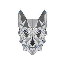 Symmetrical Wolf LLC